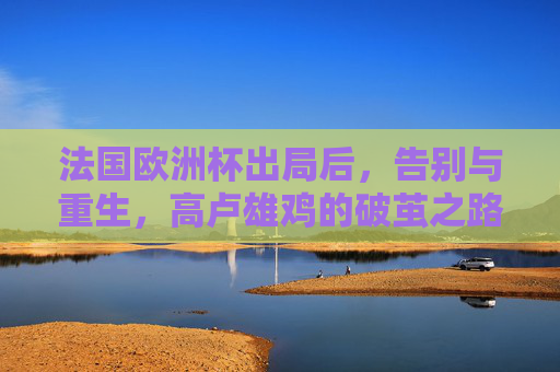 法国欧洲杯出局后，告别与重生，高卢雄鸡的破茧之路，告别与重生，高卢雄鸡的破茧之路