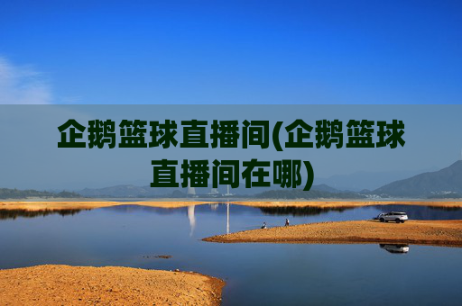 企鹅篮球直播间(企鹅篮球直播间在哪)