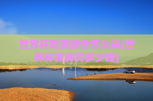 世界杯吃黄牌会怎么样(世界杯黄牌罚多少钱)