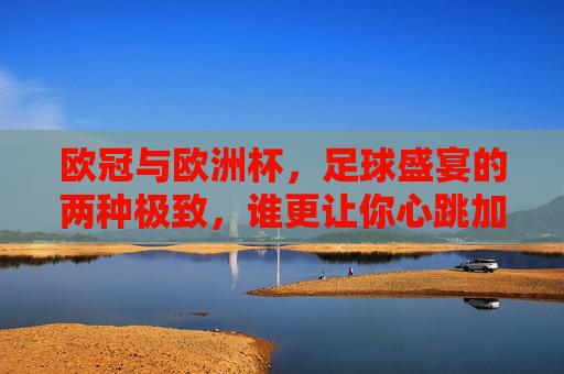 欧冠与欧洲杯,足球盛宴的两种极致,谁更让你心跳加速?欧冠vs欧洲杯,足球双极致,谁让你心跳更狂?