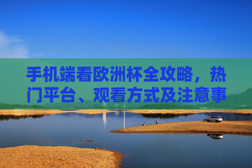 手机端看欧洲杯全攻略，热门平台、观看方式及注意事项，手机端观赛欧洲杯全攻略，热门平台、方式及注意事项