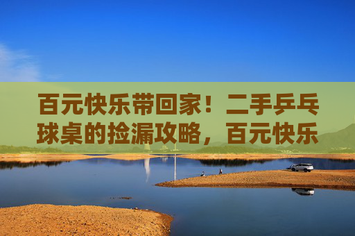 百元快乐带回家!二手乒乓球桌的捡漏攻略,百元快乐!二手乒乓球桌捡漏攻略