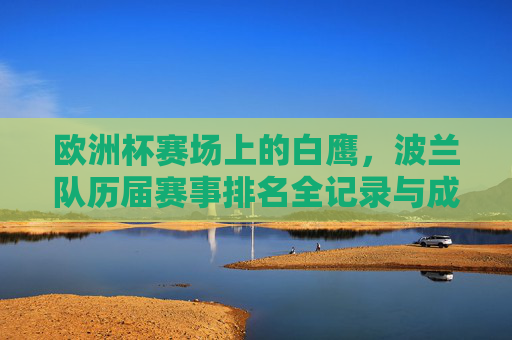 欧洲杯赛场上的白鹰,波兰队历届赛事排名全记录与成绩回顾,欧洲杯白鹰,波兰队历届排名与成绩全回顾