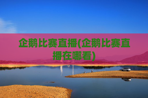 企鹅比赛直播(企鹅比赛直播在哪看)