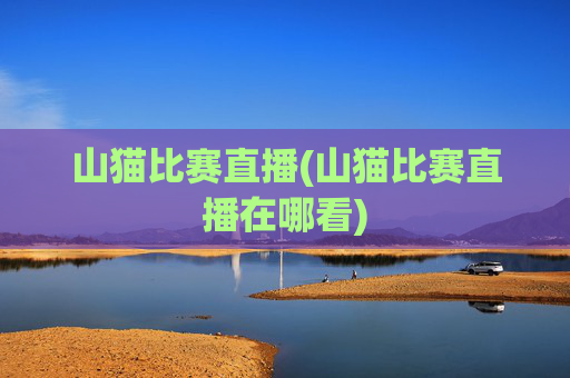 山猫比赛直播(山猫比赛直播在哪看)