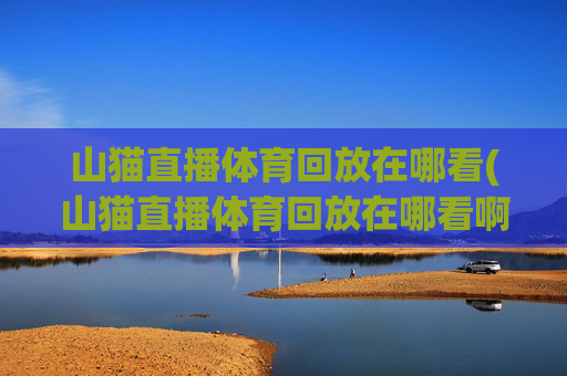 山猫直播体育回放在哪看(山猫直播体育回放在哪看啊)