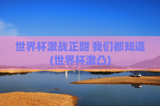 世界杯激战正酣 我们都知道(世界杯激凸)