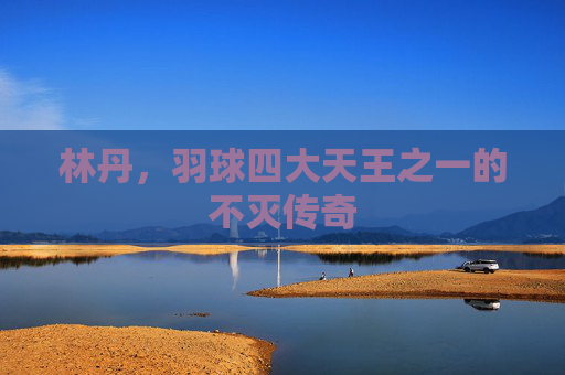 林丹,羽球四大天王之一的不灭传奇
