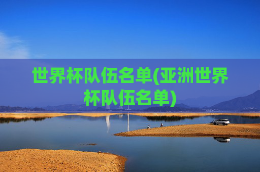 世界杯队伍名单(亚洲世界杯队伍名单)