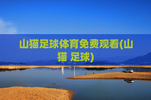 山猫足球体育免费观看(山猫 足球)