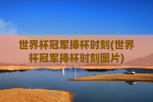 世界杯冠军捧杯时刻(世界杯冠军捧杯时刻图片)