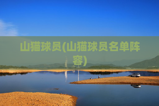 山猫球员(山猫球员名单阵容)