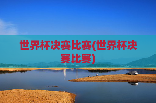 世界杯决赛比赛(世界杯决赛比赛)