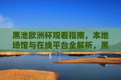黑池欧洲杯观看指南，本地场馆与在线平台全解析，黑池欧洲杯观看指南，本地场馆与在线平台全解析