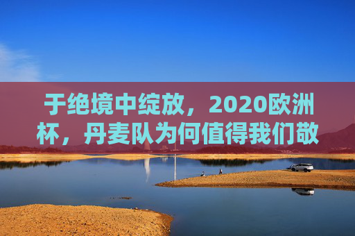 于绝境中绽放，2020欧洲杯，丹麦队为何值得我们敬佩？2020欧洲杯丹麦队，绝境绽放的敬佩力量