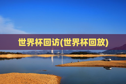 世界杯回访(世界杯回放)