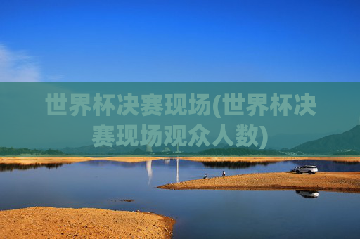 世界杯决赛现场(世界杯决赛现场观众人数)
