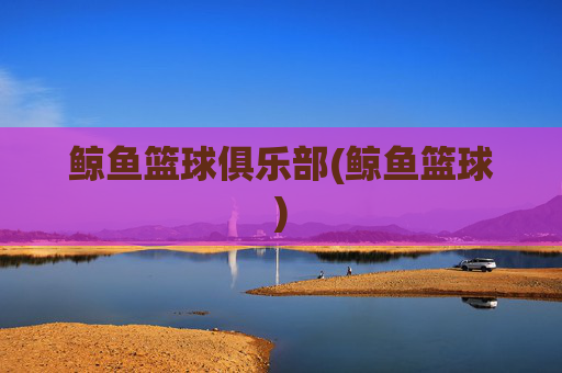 鲸鱼篮球俱乐部(鲸鱼篮球)