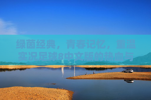绿茵经典，青春记忆，重温实况足球8中文版的热血与热爱，实况足球8中文版，绿茵经典里的青春记忆与热血