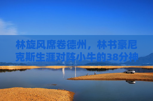 林旋风席卷德州,林书豪尼克斯生涯对阵小牛的38分神迹,林旋风席卷德州,林书豪尼克斯生涯对阵小牛38分神迹