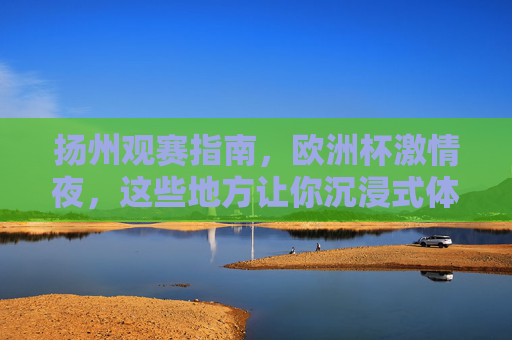 扬州观赛指南,欧洲杯激情夜,这些地方让你沉浸式体验!