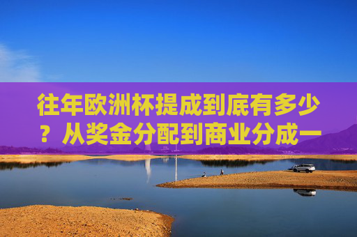 往年欧洲杯提成到底有多少？从奖金分配到商业分成一文看懂，欧洲杯提成全解析，奖金分配与商业分成揭秘