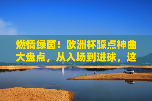 燃情绿茵！欧洲杯踩点神曲大盘点，从入场到进球，这些歌点燃全场！燃情绿茵！欧洲杯踩点神曲点燃全场，从入场到进球