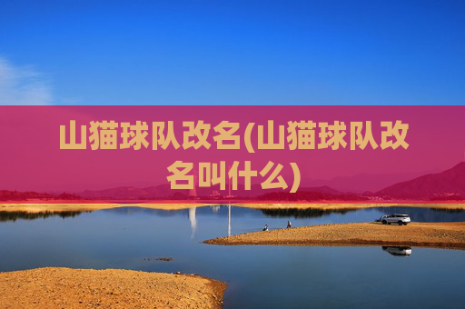 山猫球队改名(山猫球队改名叫什么)