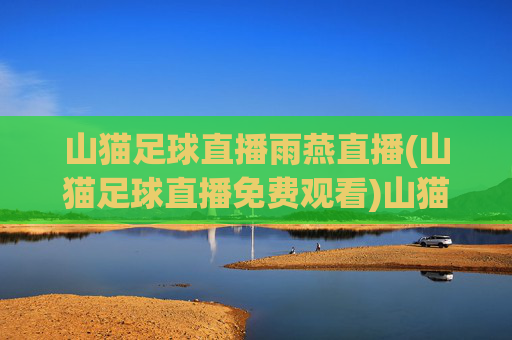 山猫足球直播雨燕直播(山猫足球直播免费观看)山猫足球直播免费观看（雨燕直播）