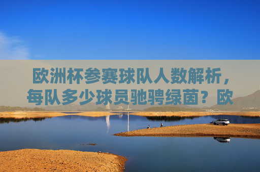 欧洲杯参赛球队人数解析,每队多少球员驰骋绿茵?欧洲杯每队球员人数解析