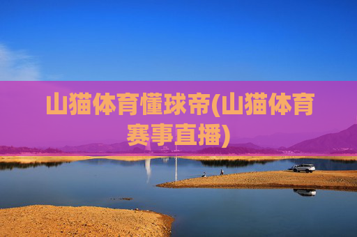 山猫体育懂球帝(山猫体育赛事直播)