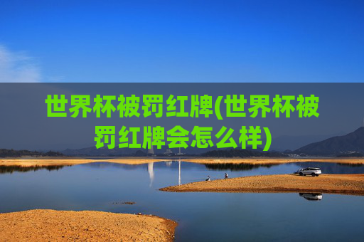 世界杯被罚红牌(世界杯被罚红牌会怎么样)