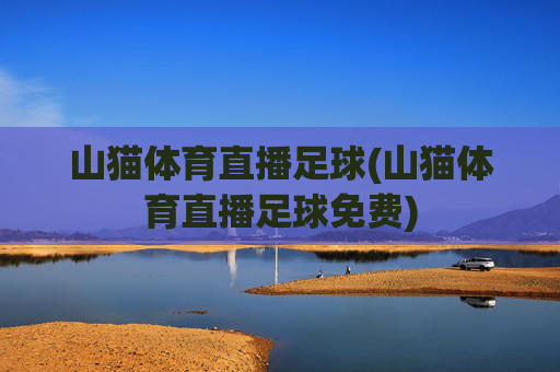 山猫体育直播足球(山猫体育直播足球免费)