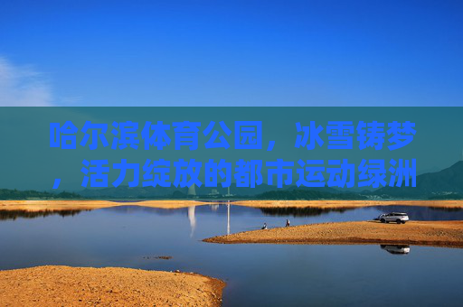 哈尔滨体育公园,冰雪铸梦,活力绽放的都市运动绿洲,哈尔滨体育公园,冰雪铸梦·活力绽放的都市运动绿洲