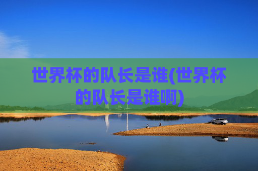 世界杯的队长是谁(世界杯的队长是谁啊)