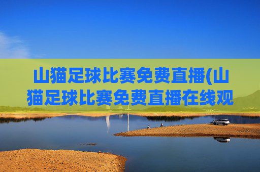 山猫足球比赛免费直播(山猫足球比赛免费直播在线观看)