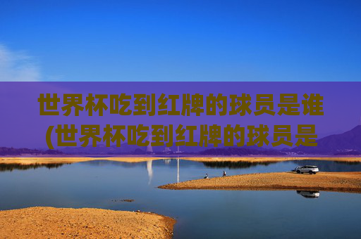 世界杯吃到红牌的球员是谁(世界杯吃到红牌的球员是谁啊)世界杯红牌球员是谁？