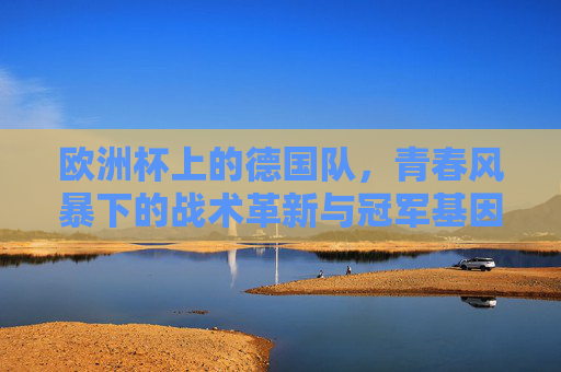 欧洲杯上的德国队，青春风暴下的战术革新与冠军基因，欧洲杯德国队，青春风暴铸革新，冠军基因续辉煌