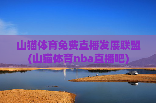 山猫体育免费直播发展联盟(山猫体育nba直播吧)