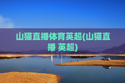 山猫直播体育英超(山猫直播 英超)