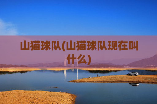 山猫球队(山猫球队现在叫什么)