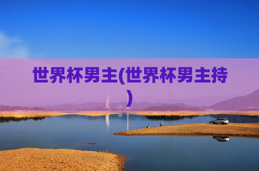 世界杯男主(世界杯男主持)