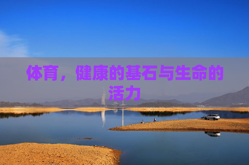 体育,健康的基石与生命的活力
