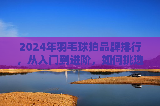 2024年羽毛球拍品牌排行,从入门到进阶,如何挑选你的得力助手?2024年羽毛球拍品牌排行,从入门到进阶挑选指南