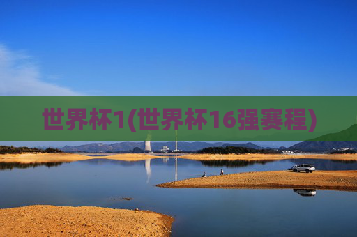 世界杯1(世界杯16强赛程)
