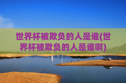 世界杯被欺负的人是谁(世界杯被欺负的人是谁啊)