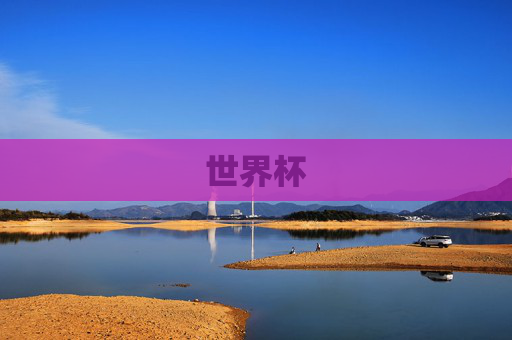 世界杯