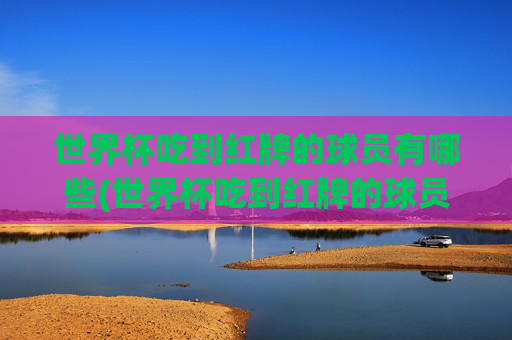 世界杯吃到红牌的球员有哪些(世界杯吃到红牌的球员有哪些人)