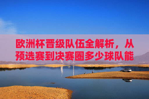 欧洲杯晋级队伍全解析,从预选赛到决赛圈多少球队能圆梦?