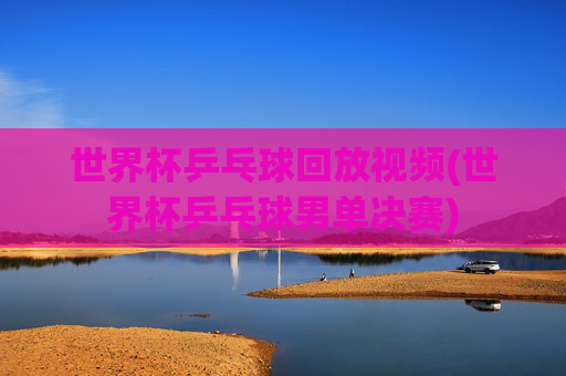 世界杯乒乓球回放视频(世界杯乒乓球男单决赛)